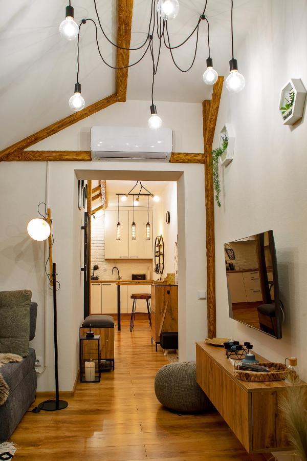 Old Town Loft Apartments Камианец-Подилский Екстериор снимка